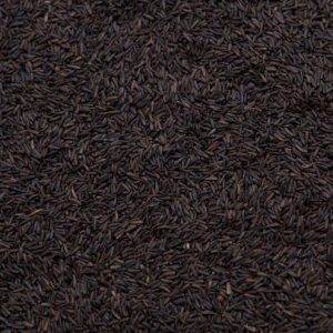 Nyjer Seed 99.5%